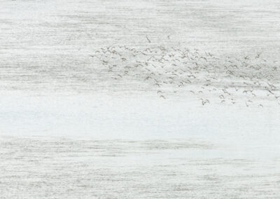 ythan160 graphite flock