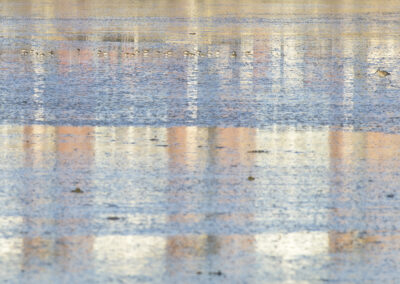 ythan 6 newburgh tartan